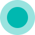 Beyond Wow teal bullet point design element