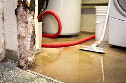 Beyond Wow plumber repairing underground water pipe
